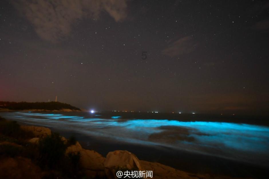 2024春节山东文化旅游节｜在东明赶冬季黄河大集 品人间烟火气