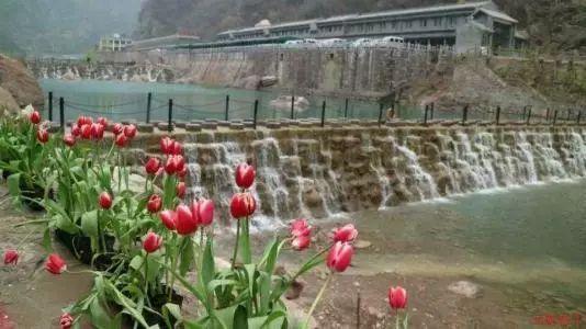 乐享经开区|东浦湾·雪乡小镇·冰雪乐园1月28日开业