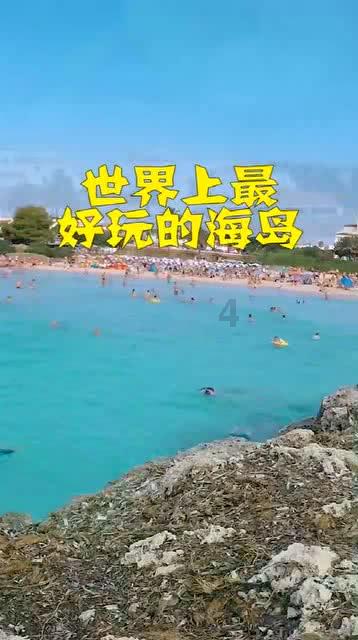 救援受困的小野猫
