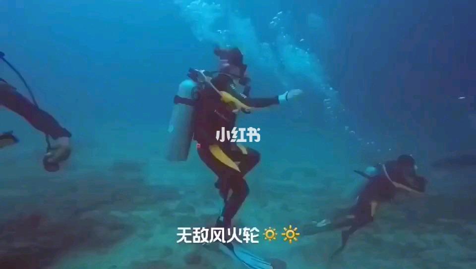 沪江开心词场