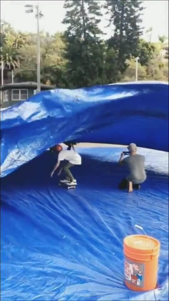 蜘蛛森林逃生