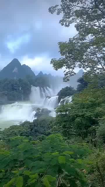 大叔钓鱼