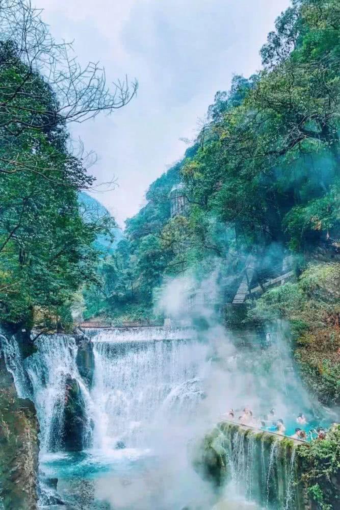 救援受困的鹭